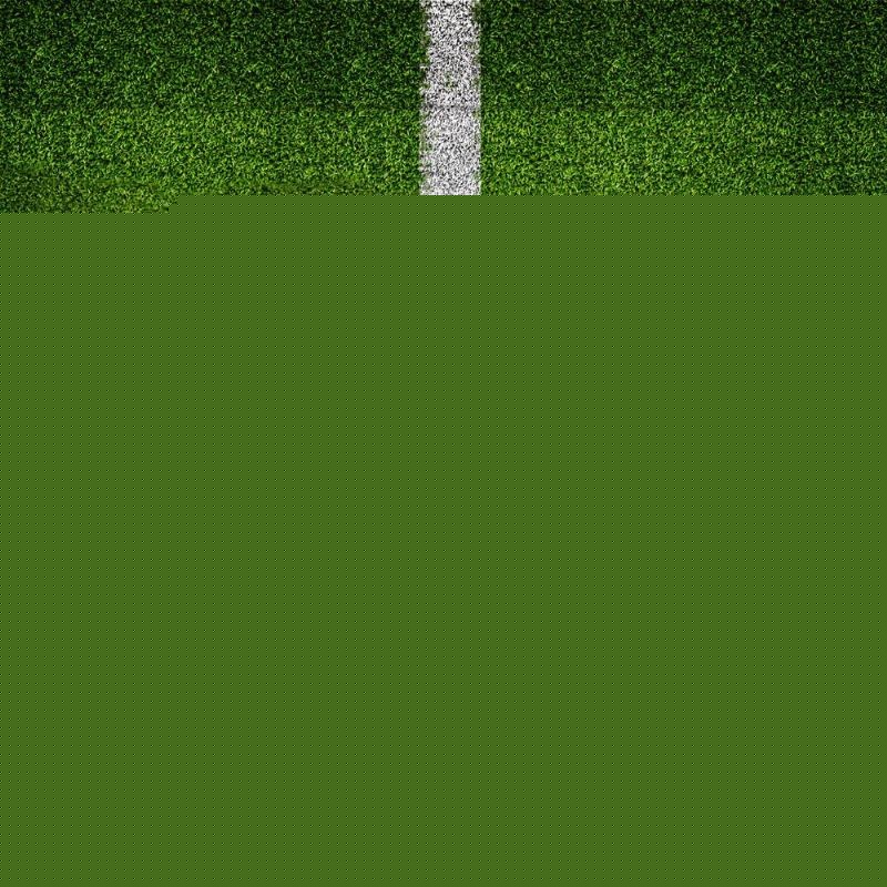 项跨越时间